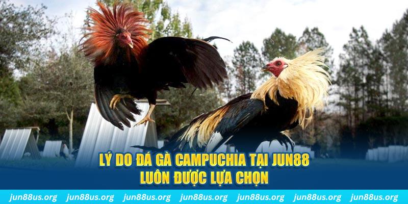 hb888 sòng bạc TRỰC TUYẾN
