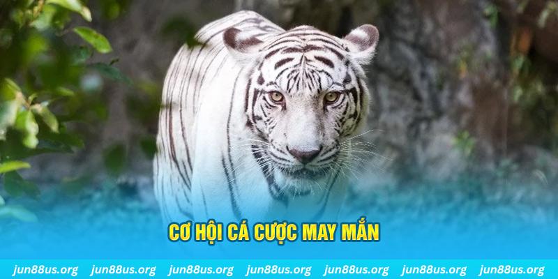 kubet 77 casino ĐĂNG NHẬP