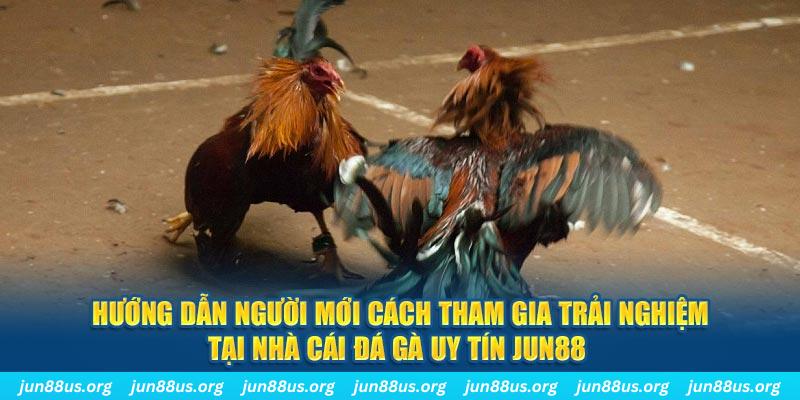 vn shbet sòng bạc KÈO NHÀ CÁI
